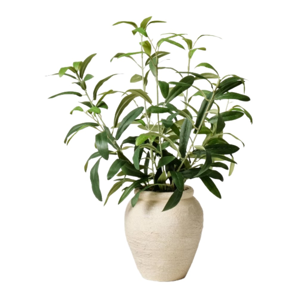 Small Olive Leaf Arrangement