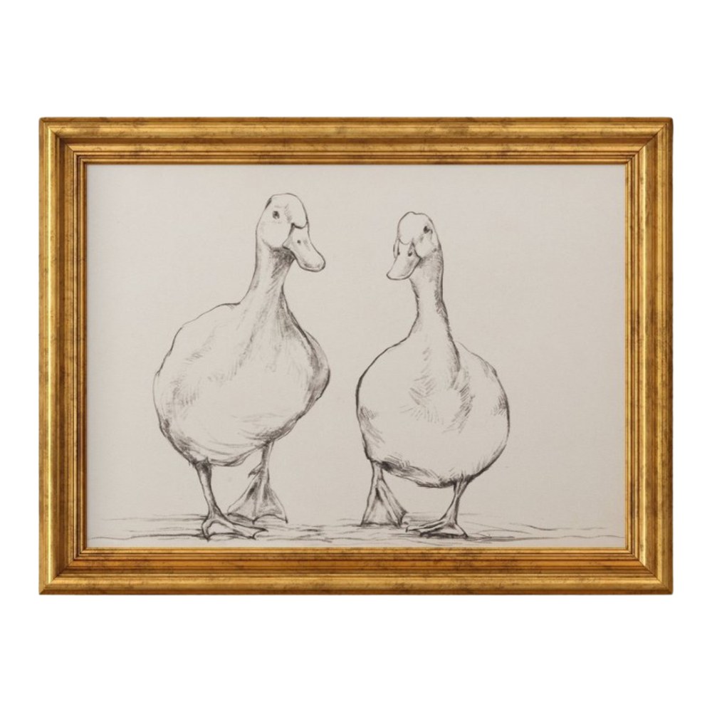 Bird Sketch Framed Art